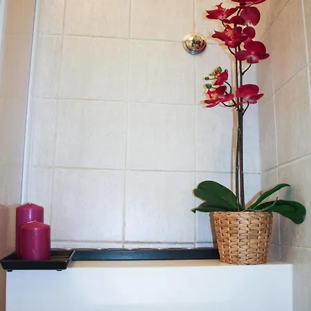 Salotto Vaticano Bed and breakfast